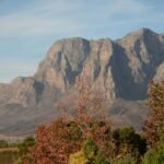 Uncover Hidden Wine Routes Near Cape Town