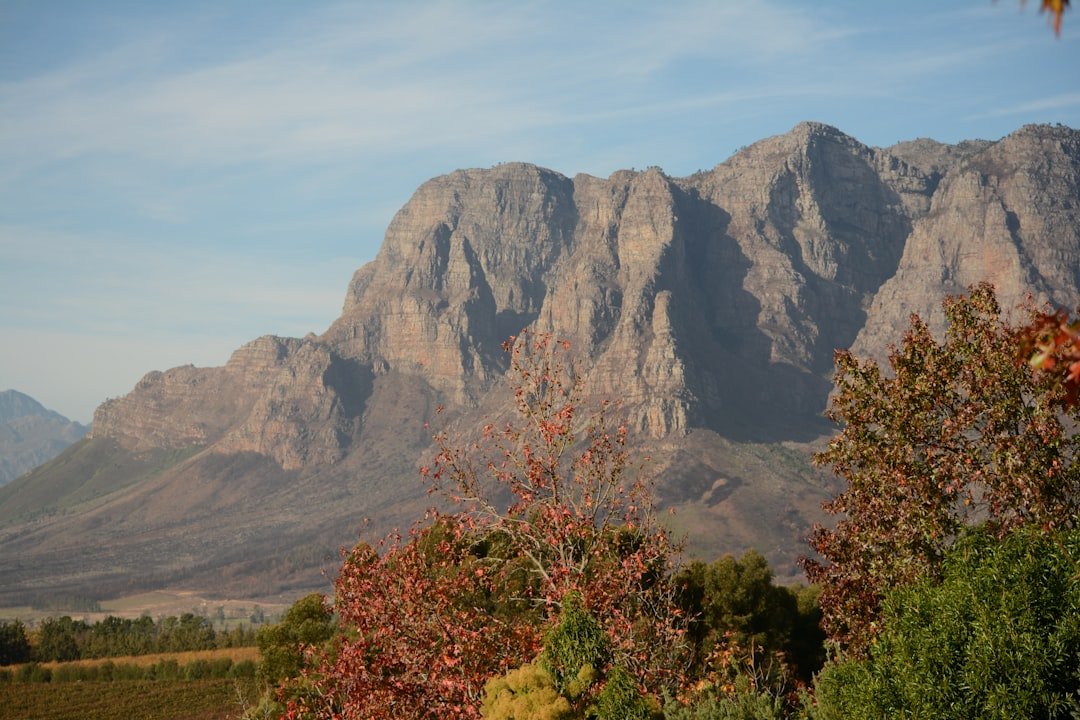 Photo Wine Tasting Routes Near Cape Town