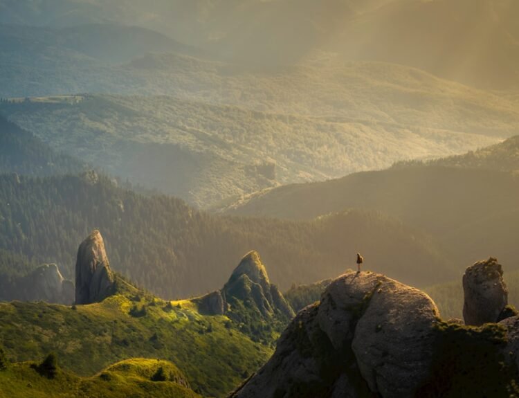 Photo Optimize Conversion Rates