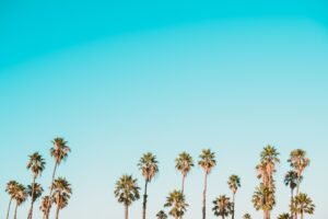 Understanding Your Rights After a Wrongful Death Accident