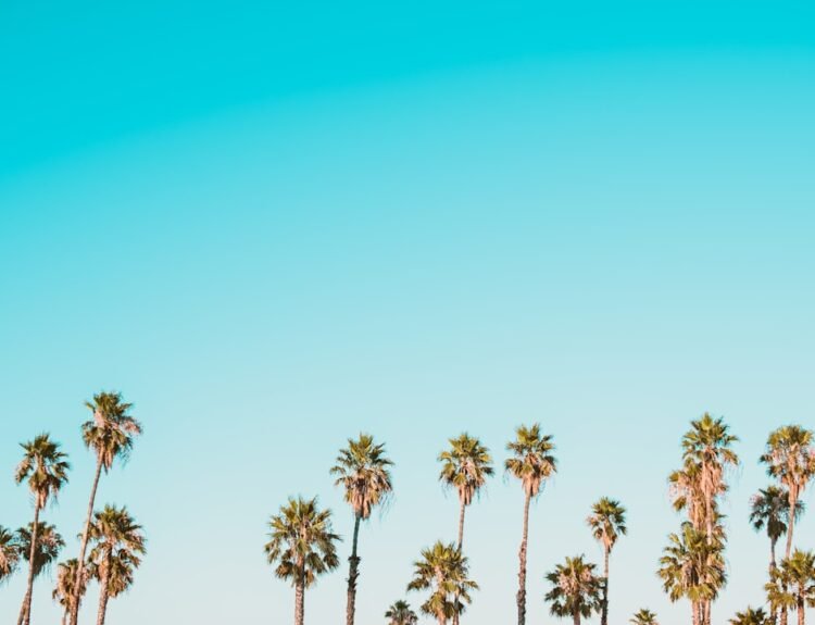 Photo Wrongful Death Accident