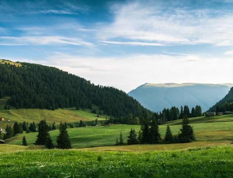 Photo Pre-Existing Conditions