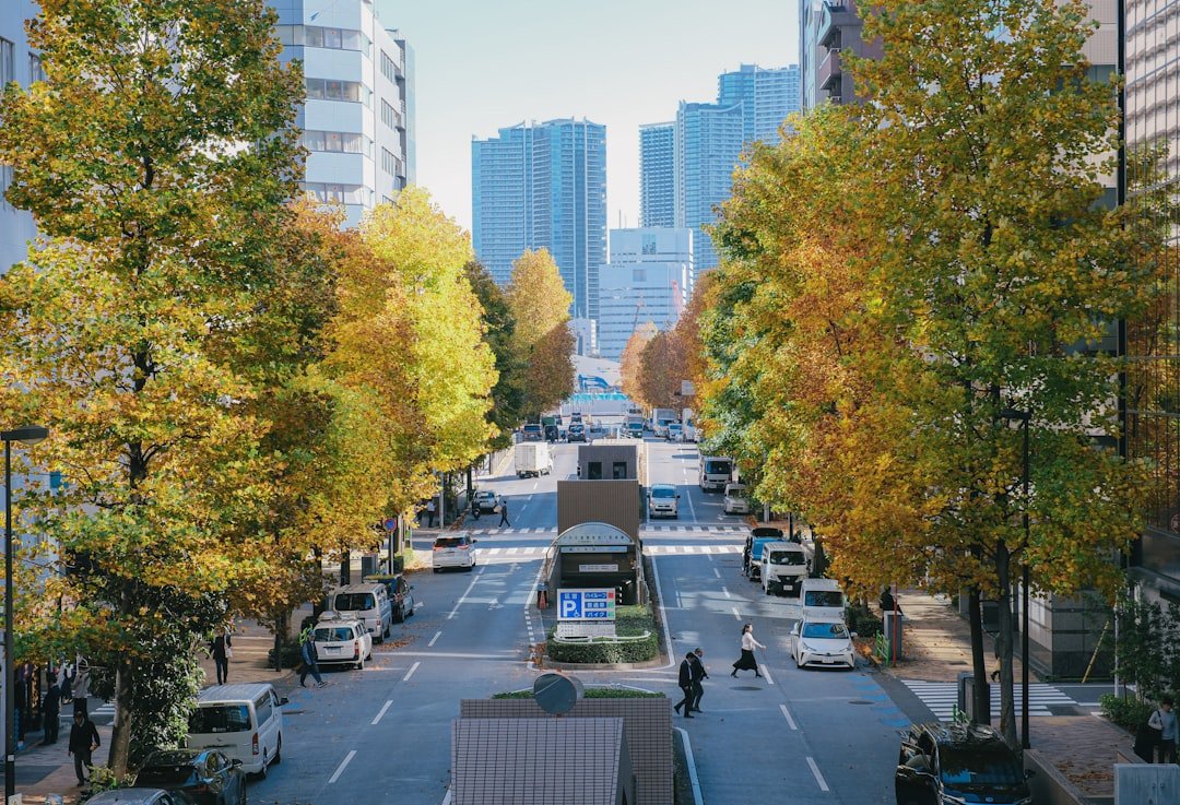 Photo Garage Conversion